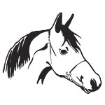 horse10