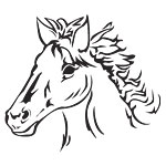 horse11