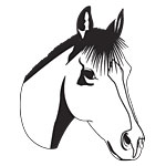 horse12