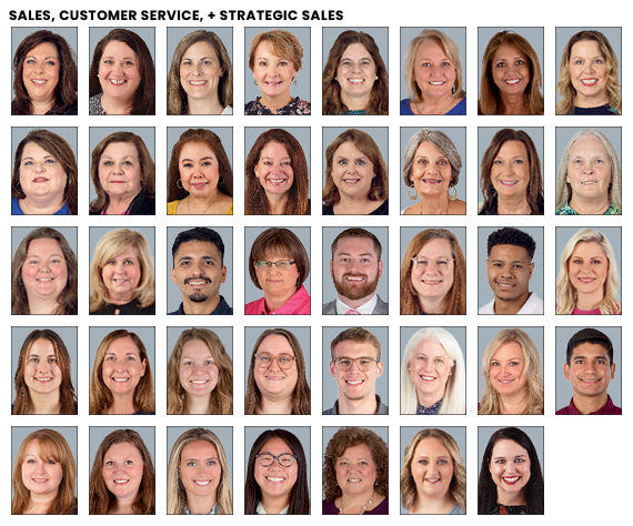 Sales, Customer Service, and Strategic Sales employees