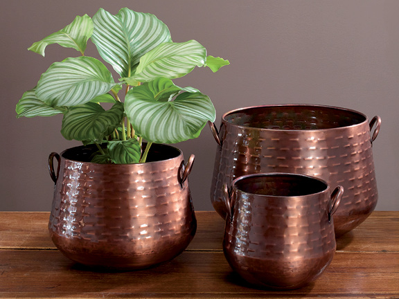 Autumn Containers 