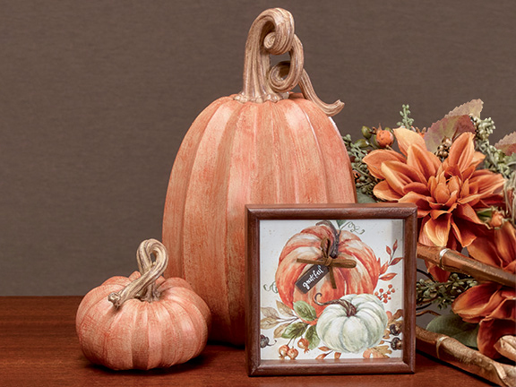 Shop Decor 