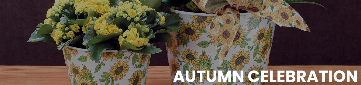 Autumn Celebration