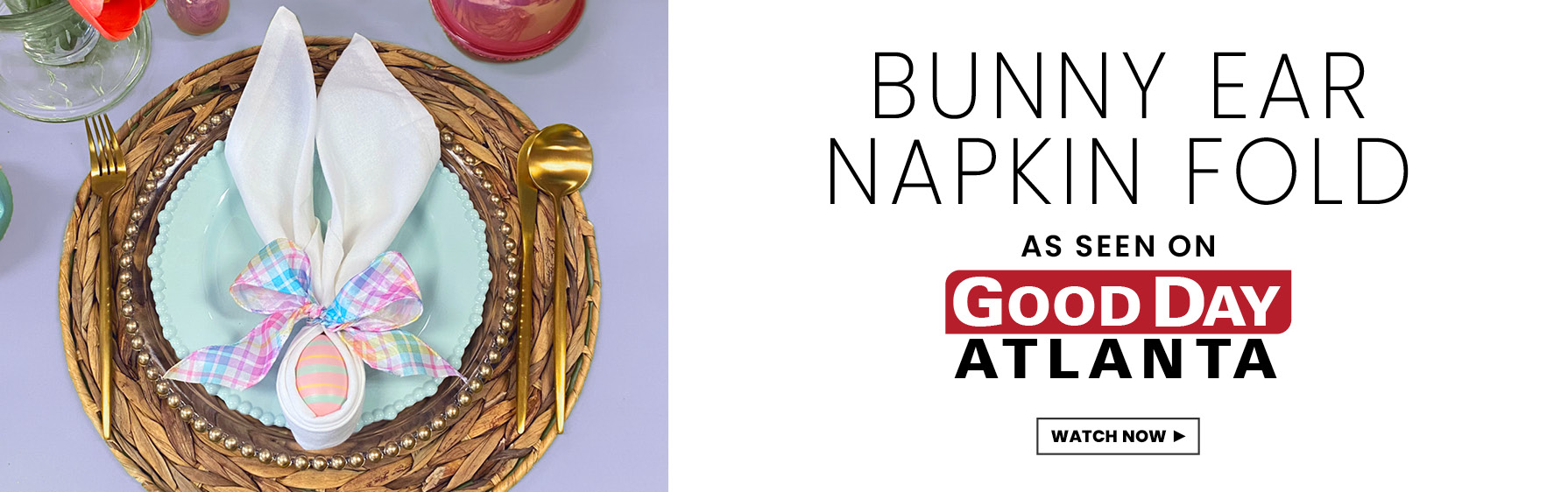 Good Day Atlanta Napkin 