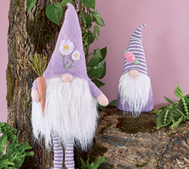 photo of Gnomes