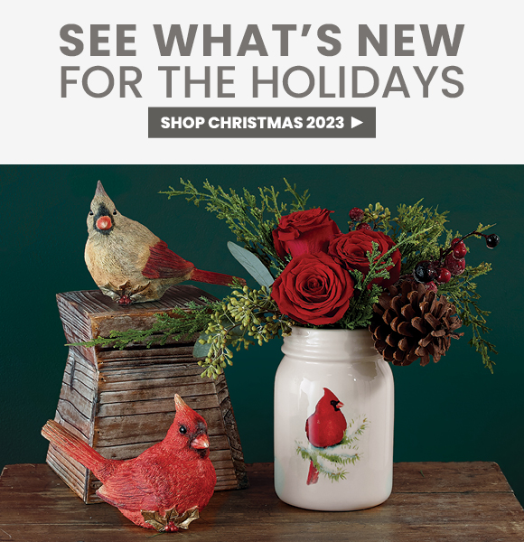 Shop Christmas 