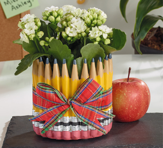 Teacher Appreciation