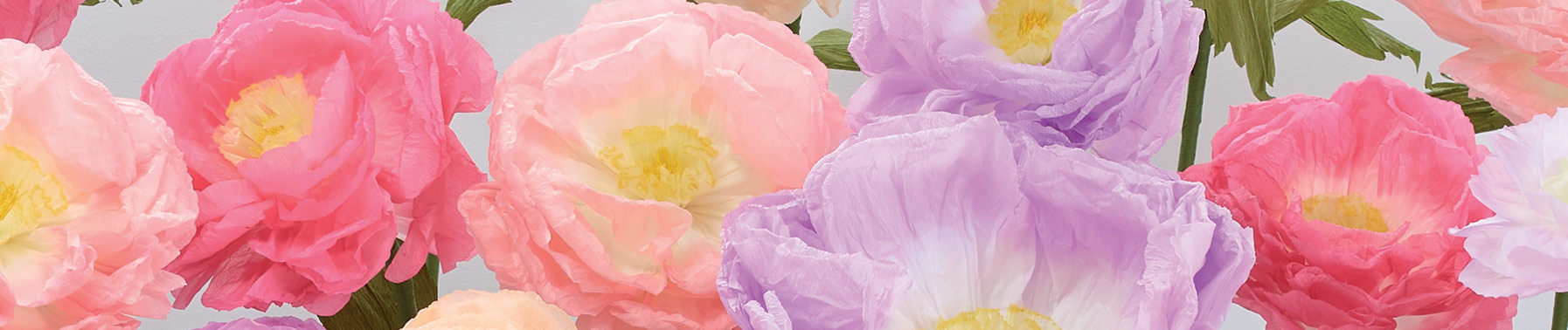 Paper Flowers