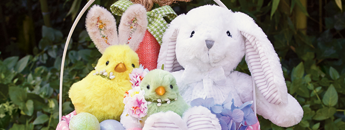 Shop Plush