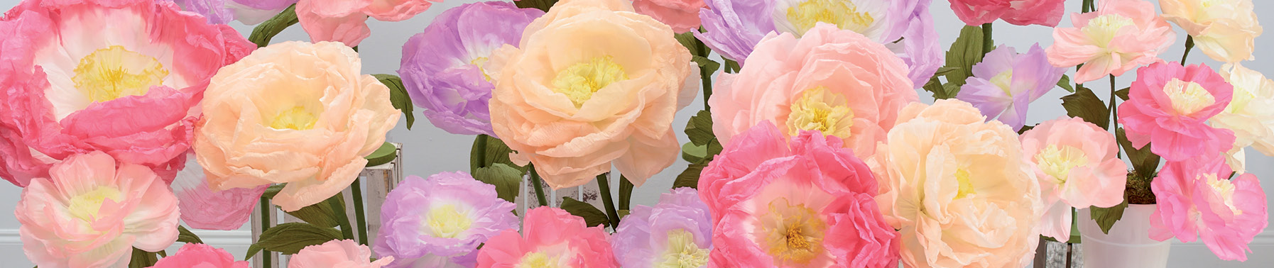 Spring Trends