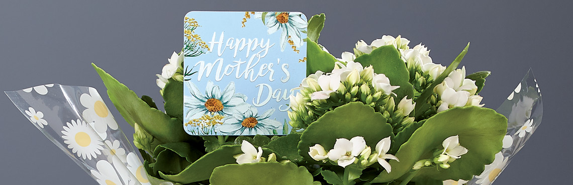 Mother's Day