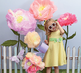 photo of All Spring
