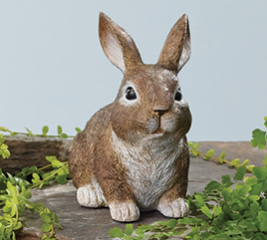 photo of New Easter