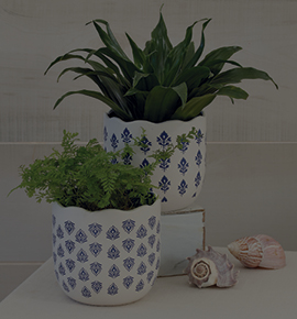 Set of containers