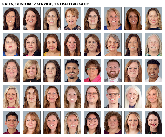 Sales, Customer Service, and Strategic Sales employees