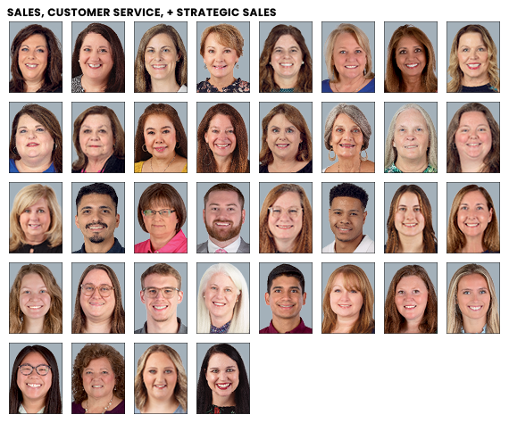 Sales, Customer Service, and Strategic Sales employees