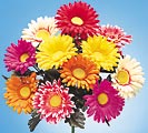photo of Flowers/Wreaths/Garlands/Sprays